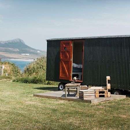 Porthselau Shepherds Hut Hotel St. Davids  Exterior photo